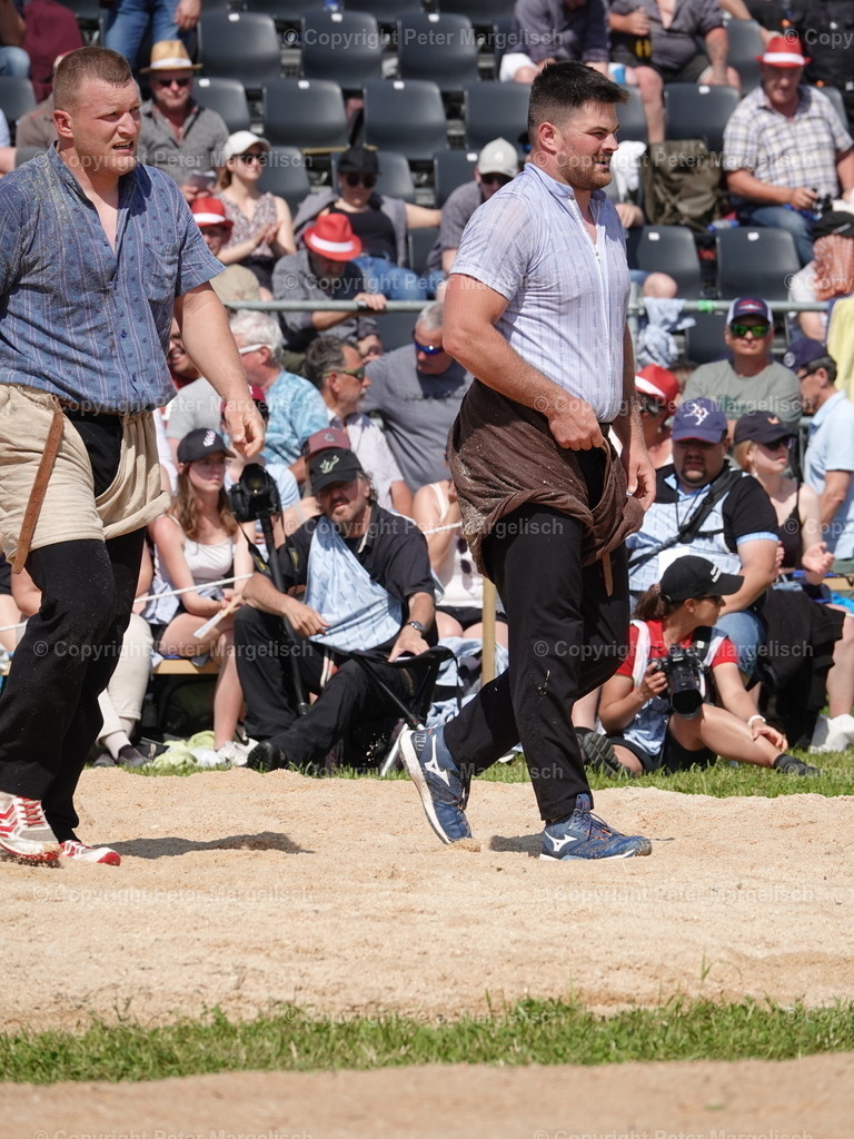 DSC06827 | Schwingen - Realisiert mit Pictrs.com