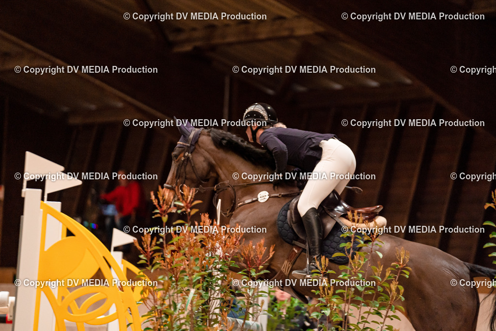 Springen Tag 1-681 | dv-media-shop - Realisiert mit Pictrs.com