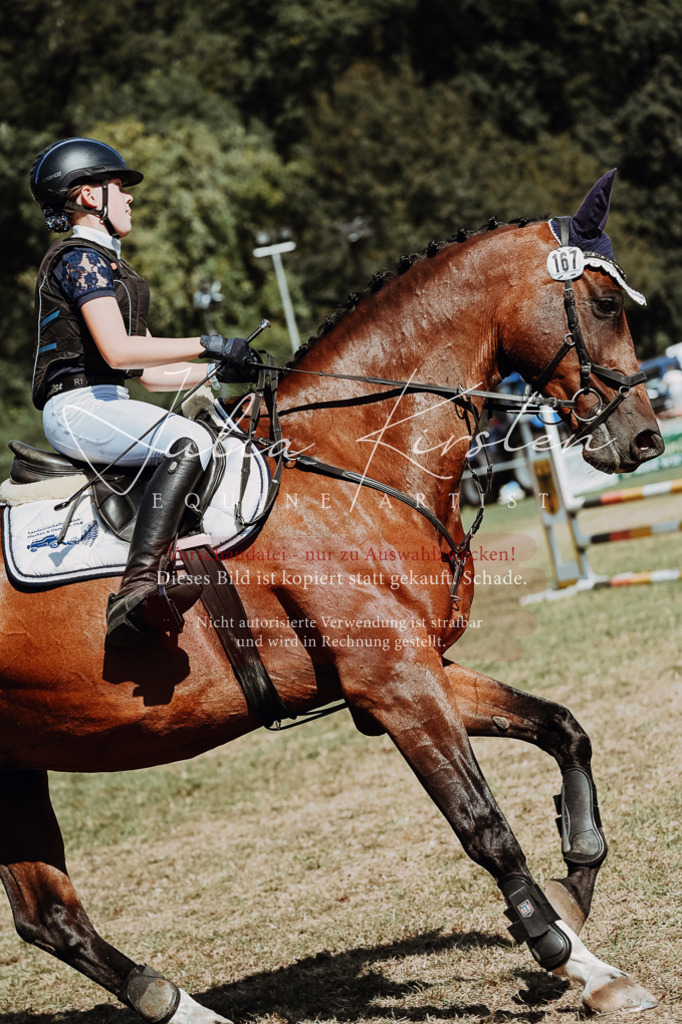 DSC_9808 | Pferde- und Turnierfotografie in Westsachsen. Pferdeportraits, Auftragszeichnungen und intuitive Kunst.