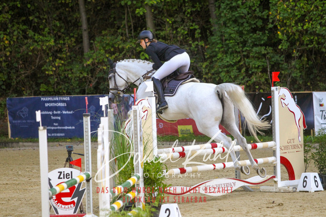 DKP42706 | Turniersportfotografie; Pferdefotografie; Dressurfotografie