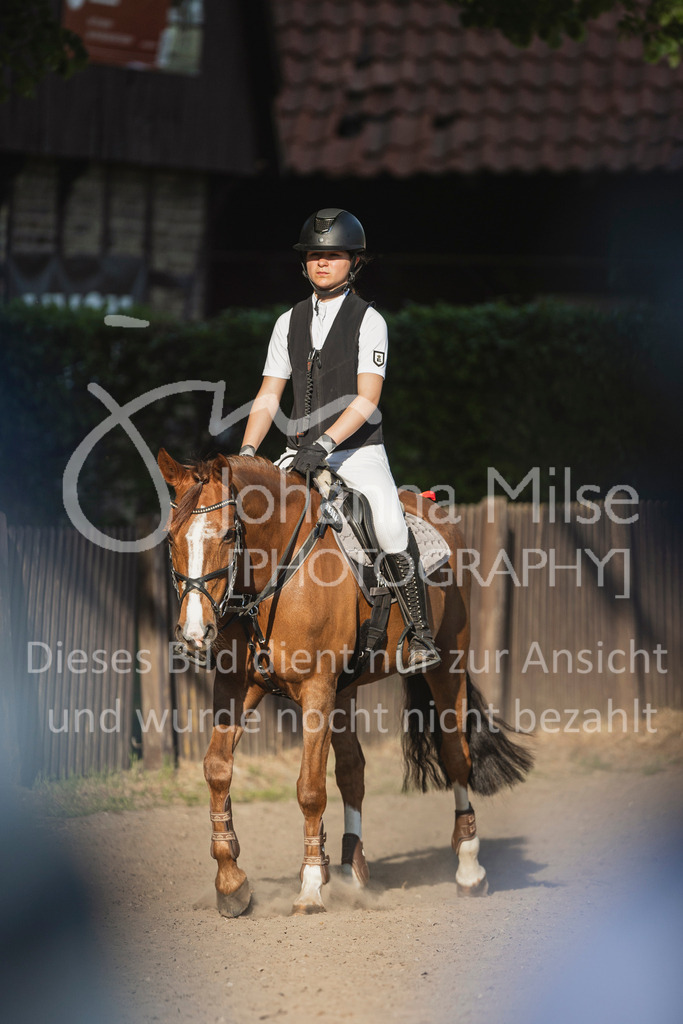 250501_MünsterHandorf_PonyTrophy-307 | Deine schönsten Turniermomente als professionelle Fotos! Entdecke hochwertige Pferdesport-Fotografie im Online-Shop. Jetzt Fotos finden & bestellen!