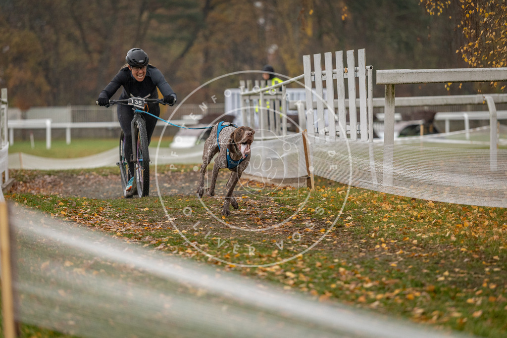 CaniXpix_DV3A7619 | Hundefotografie, Tierfotograf, Pfotenfotografie, Fotoshooting Hund, Hunde Portrait, Hundesport, Hundeportraits, Heideshooting, Hunde, Sportfotograf, Hundefotograf, Turnierhundsport, THS,  - Realisiert mit Pictrs.com