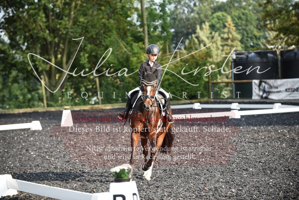 DSC_3541 | Pferde- und Turnierfotografie in Westsachsen. Pferdeportraits, Auftragszeichnungen und intuitive Kunst.