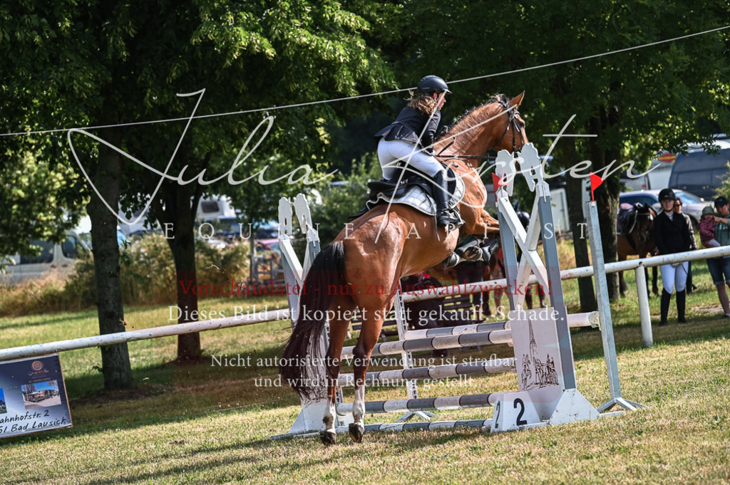 DSC_7692 | Pferde- und Turnierfotografie in Westsachsen. Pferdeportraits, Auftragszeichnungen und intuitive Kunst.