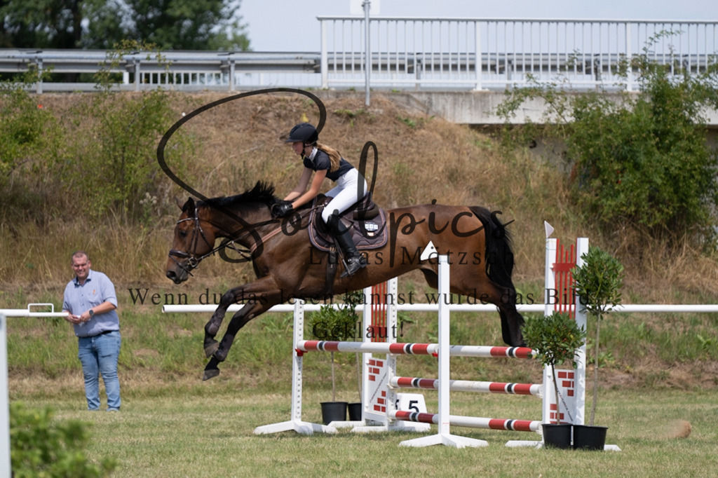 A7V01853 | Pferdefotograf