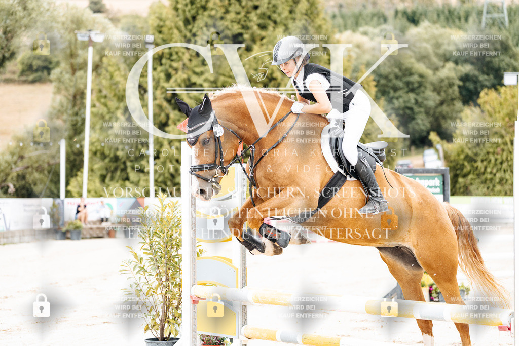 CK907821 | Turnierfotografie Pferdefotografie Trier Rheinland-Pfalz Pferdesport Reitsport Tierfotografie Sportfotografie Pferdevideo Pferdevideografie Equestrianvideography equestrianphotography  - Realisiert mit Pictrs.com