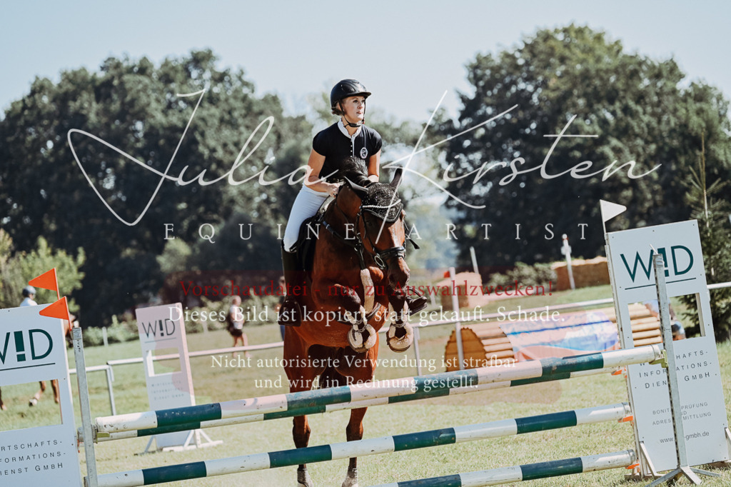 DSC_5804 | Pferde- und Turnierfotografie in Westsachsen. Pferdeportraits, Auftragszeichnungen und intuitive Kunst.