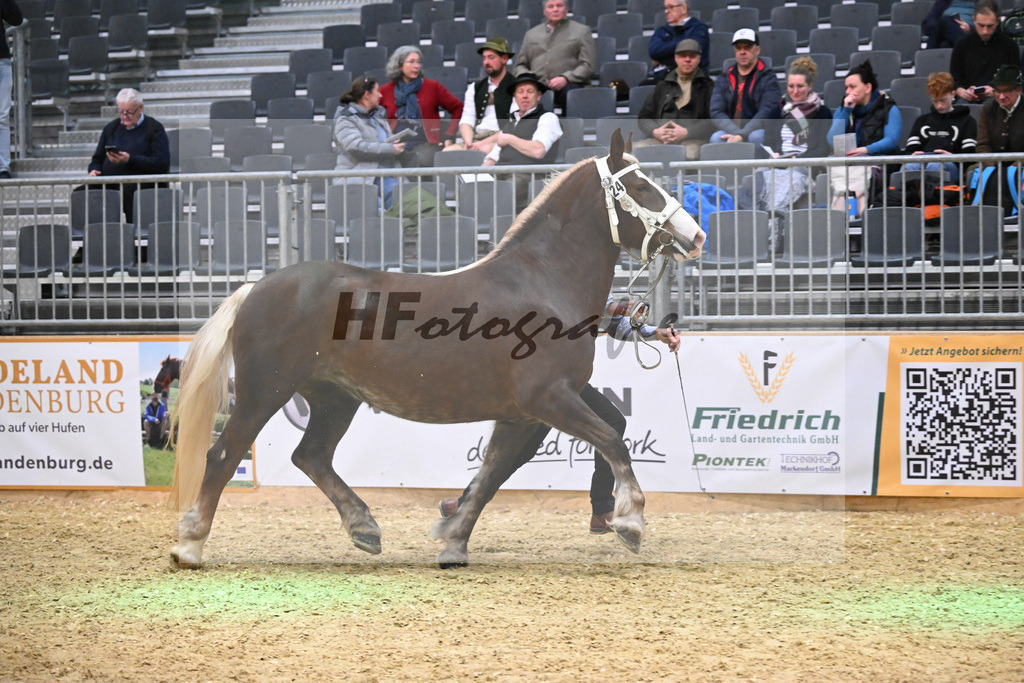 Kat-Nr. 24 Bordeaux N v. Versailles_Neumayr_1260349 | hf-fotografie - Realisiert mit Pictrs.com