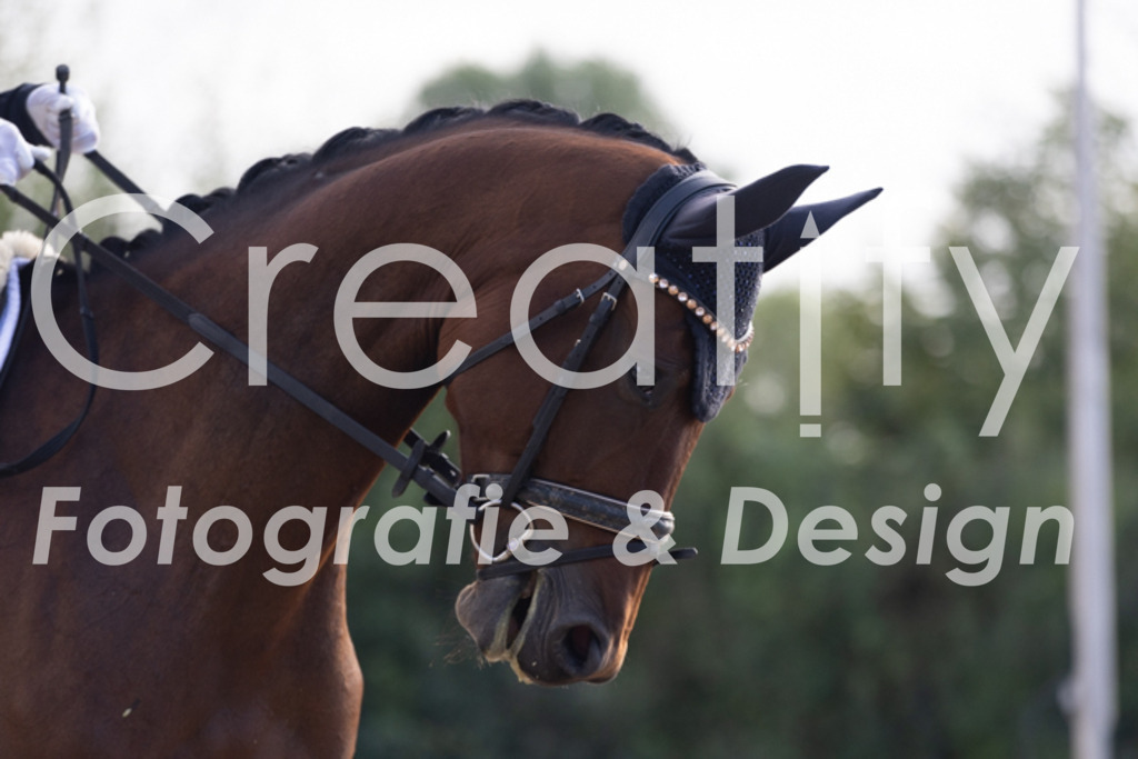 IMG_9984 | Creatify Fotografie