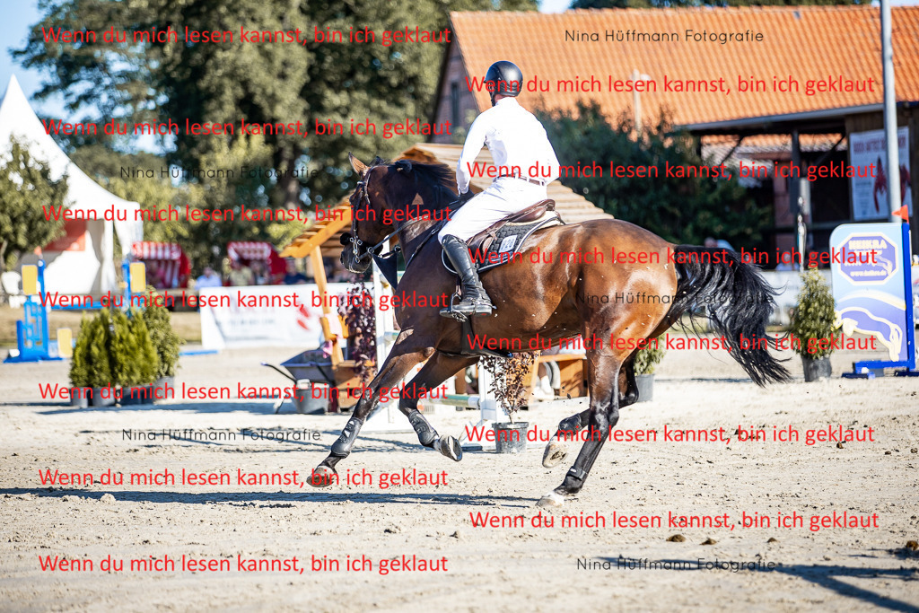 BK1A8225 | Turnierbilder Turnierfotos Nina Hüffmann Turnierfotografie Pferdefotografie Tierzeichnung Haustierzeichnung Pferdezeichnung Hundezeichnung Videograf  - Realisiert mit Pictrs.com