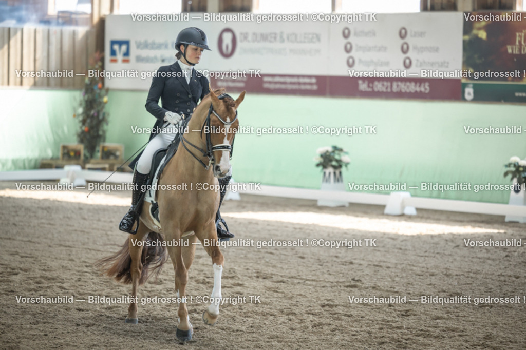 _D5A9418 | Emotionale Pferde- & People-Fotografie rund um Heidelberg, Leimen & Umgebung. Natürliche Fotos von Pferd, Mensch & Familie. Jetzt Termin sichern!