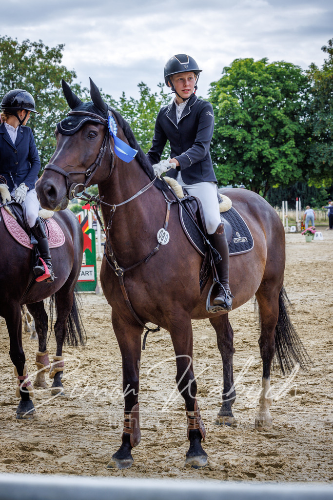 20260705-_3LI3985 | Tierfotografie Pferde, Hunde, Katzen, Haustiere.
Turnierfotografie Reitturniere, Reiten, Springreiten, Dressur in Hanau, dem Main-Kinzig-Kreis und dem Rhein-Main- Gebiet um Frankfurt