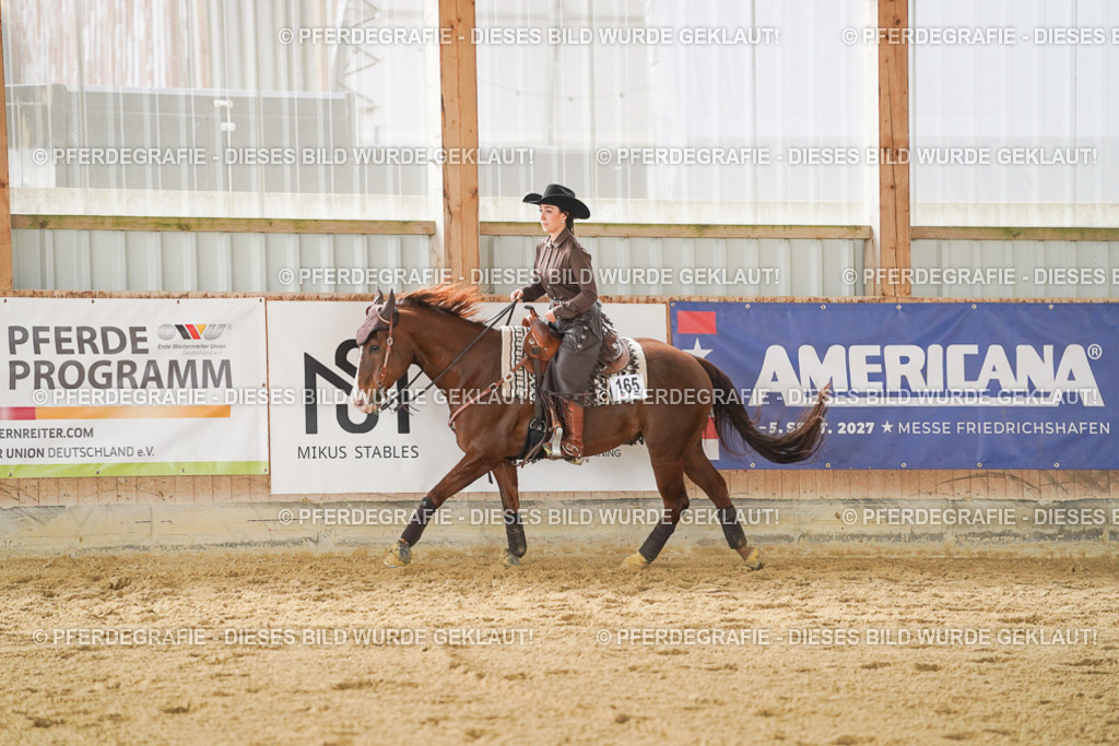 DSC04774 | Pferdegrafie