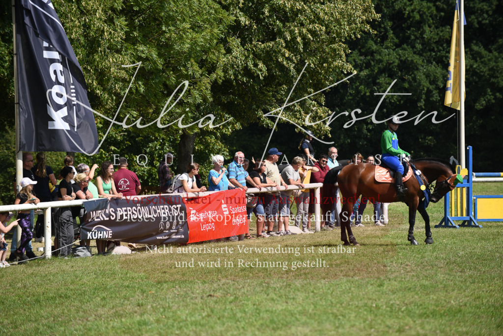 DSC_0274 | Pferde- und Turnierfotografie in Westsachsen. Pferdeportraits, Auftragszeichnungen und intuitive Kunst.