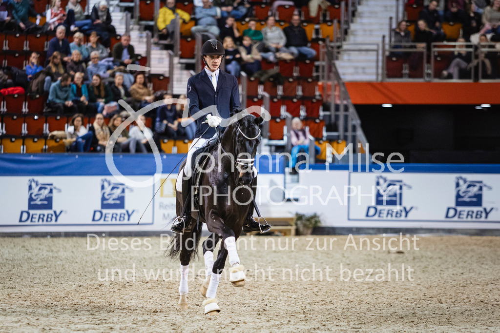 250108_Muenster_Hengstpräsentation-170 | Deine schönsten Turniermomente als professionelle Fotos! Entdecke hochwertige Pferdesport-Fotografie im Online-Shop. Jetzt Fotos finden & bestellen!