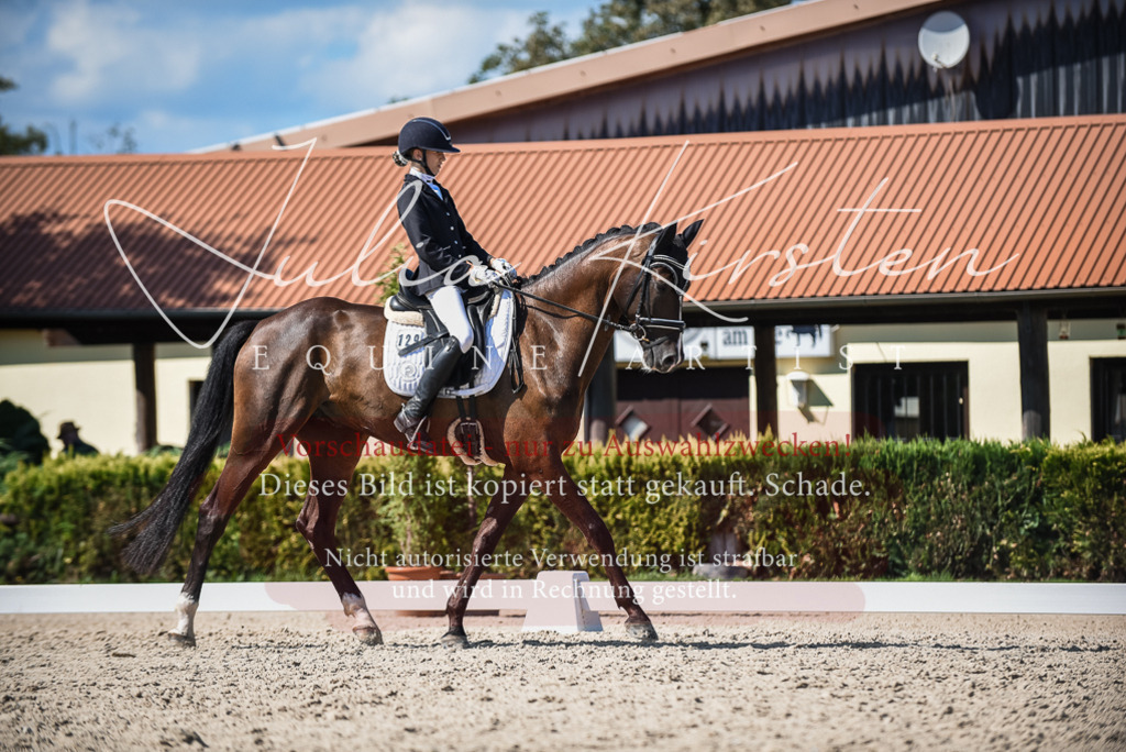 DSC_9597 | Pferde- und Turnierfotografie in Westsachsen. Pferdeportraits, Auftragszeichnungen und intuitive Kunst.