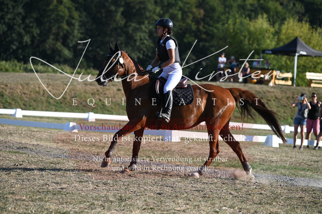 DSC_9048-2 | Pferde- und Turnierfotografie in Westsachsen. Pferdeportraits, Auftragszeichnungen und intuitive Kunst.