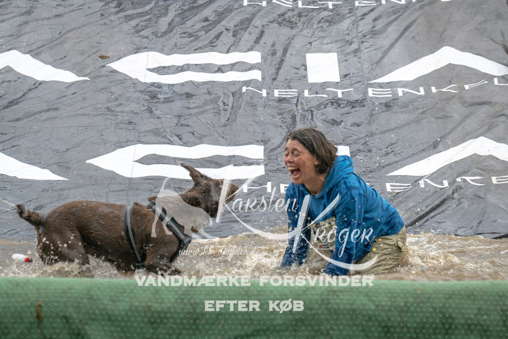 1545_ZZ90438 | kk-dogfotos