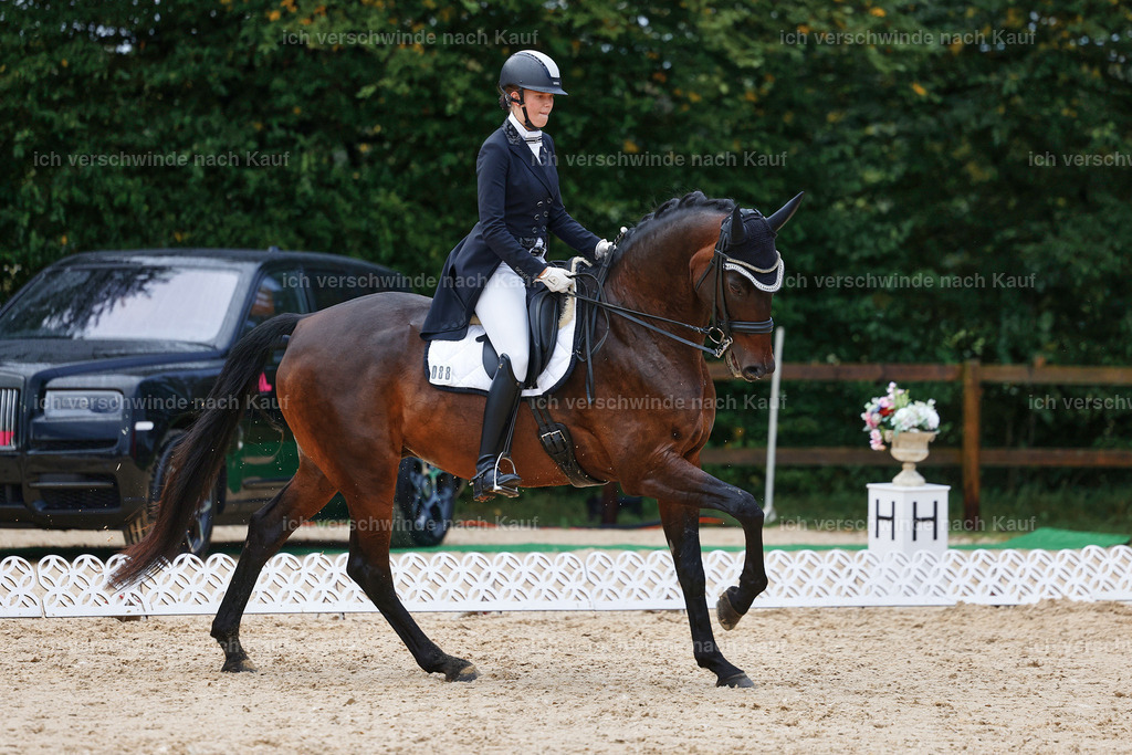 8_2-088-DRESSUR S_  -StoibPH-4446 | working equitationturnier fotograf videograf stoibphotography marixx film working equitation deutschland reitsport turnierfotografie eventfotografie equestrian events