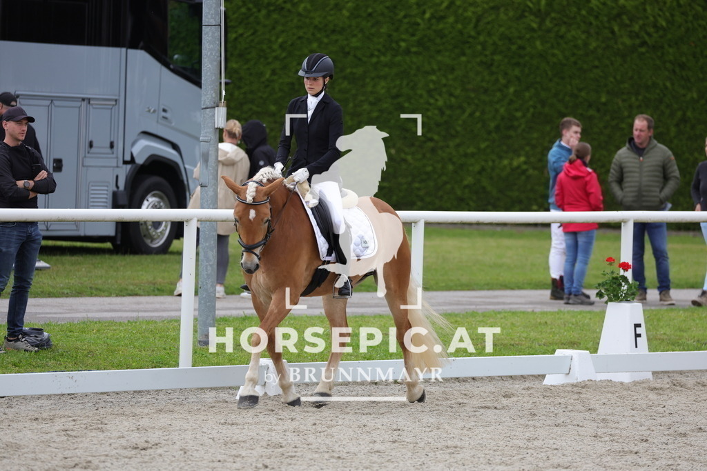 0P6A5211 | Willkommen bei Brunnmayr - Design & Fotografie – Ihrem Spezialisten für Reitturniere und Pferdeveranstaltungen in Oberösterreich, Salzburg und Bayern! Seit über 17 Jahren sind wir leidenschaftlich dabei.