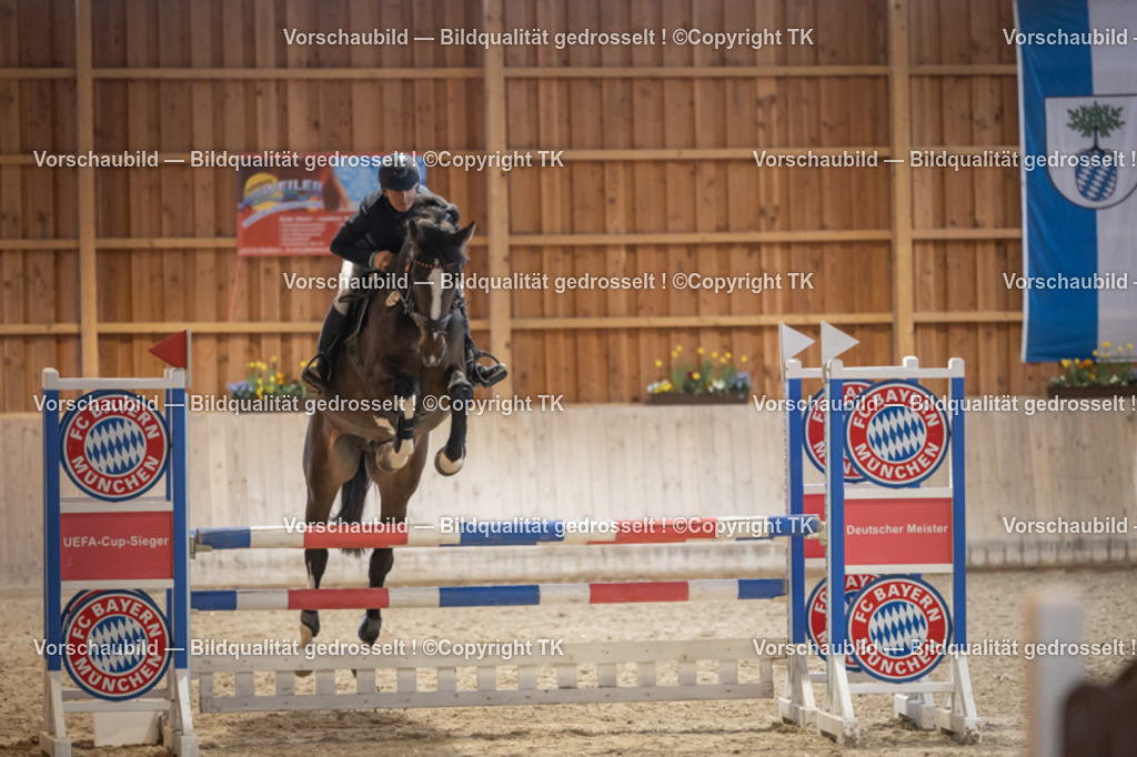 _D5A8529 | Emotionale Pferde- & People-Fotografie rund um Heidelberg, Leimen & Umgebung. Natürliche Fotos von Pferd, Mensch & Familie. Jetzt Termin sichern!