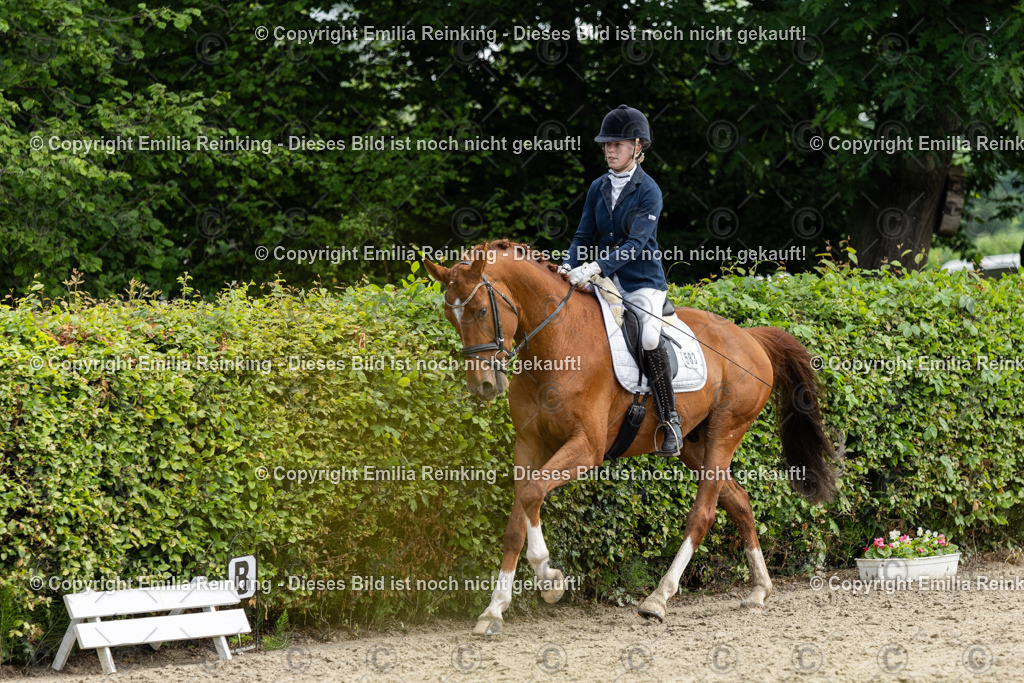 CL5A5105 | Emilia Reinking Fotografie - Realisiert mit Pictrs.com