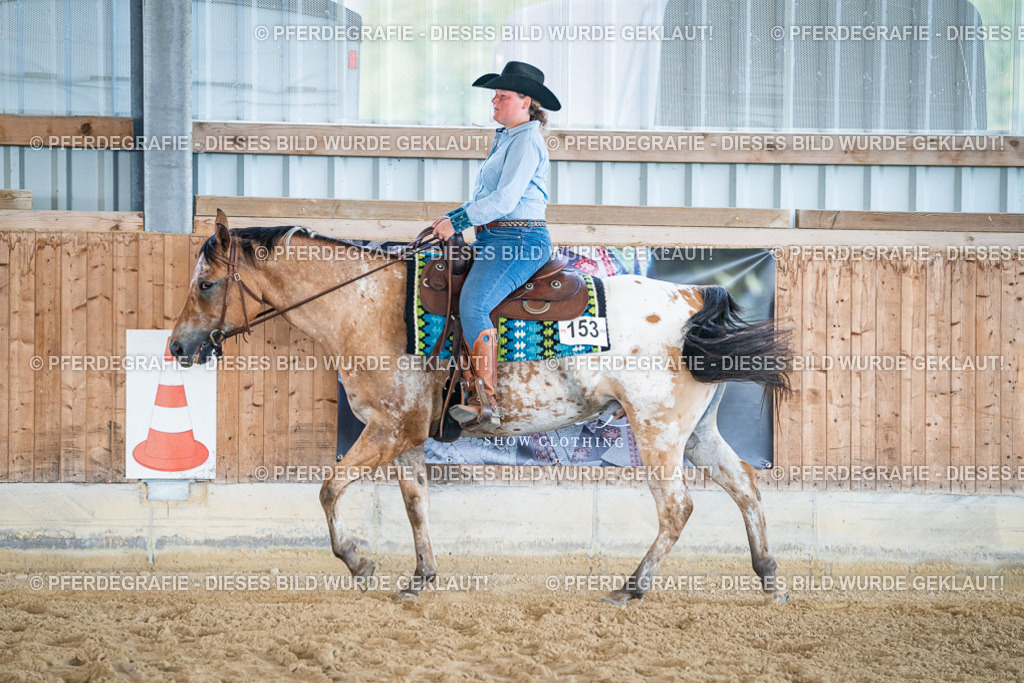 DSC03523 | Pferdegrafie