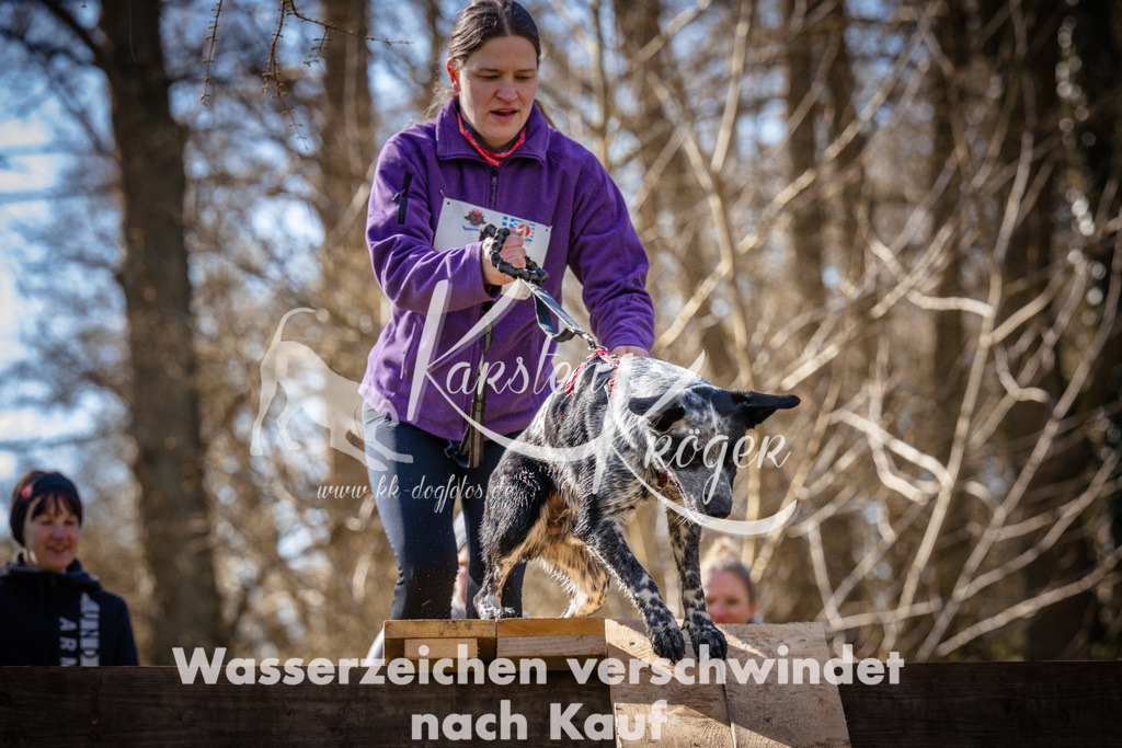 0858_ZZ92988-2 | kk-dogfotos