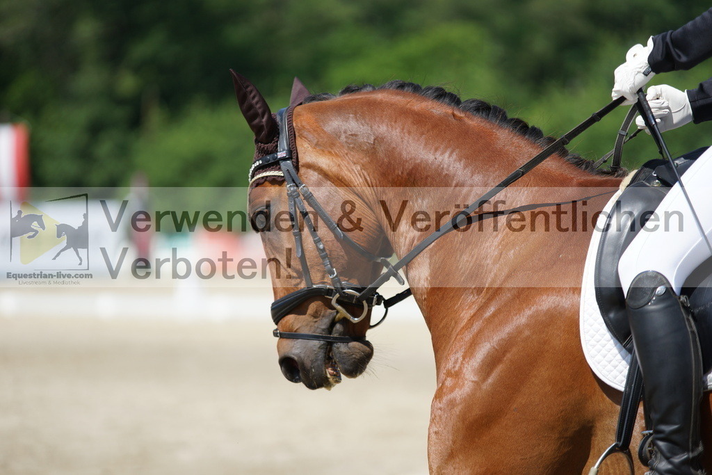 DSC01627 | equestrian-live-com