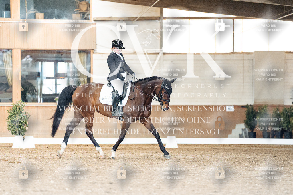 CK901647 | Turnierfotografie Pferdefotografie Trier Rheinland-Pfalz Pferdesport Reitsport Tierfotografie Sportfotografie Pferdevideo Pferdevideografie Equestrianvideography equestrianphotography  - Realisiert mit Pictrs.com