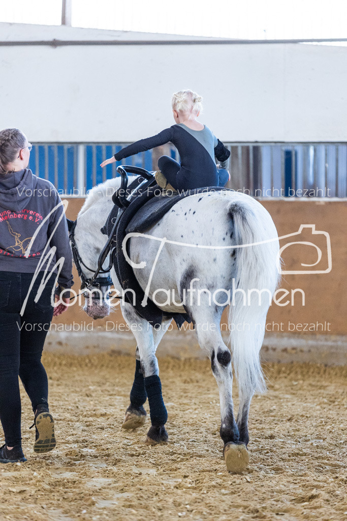 SS-Mini-047 | MomenTaufnahmen Pferdesportfotos