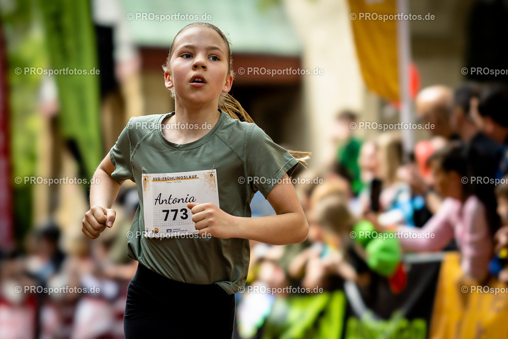 GVG Fruehlingslauf in Frechen, 07.05.2023 | Impressionen vom GVG Fruehlingslauf am 07.05.2023 in Frechen (Nordrhein-Westfalen). Foto: BEAUTIFUL SPORTS/Axel Kohring
