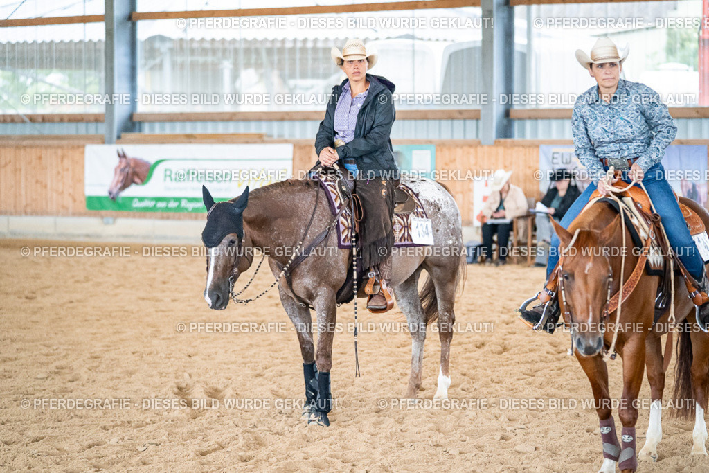 DSC03467 | Pferdegrafie