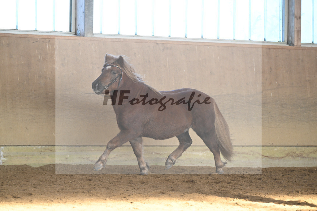 Kat-Nr. 18 Well Doves Walesco v. Well done_Laege u Ruediger_49250778 | hf-fotografie - Realisiert mit Pictrs.com