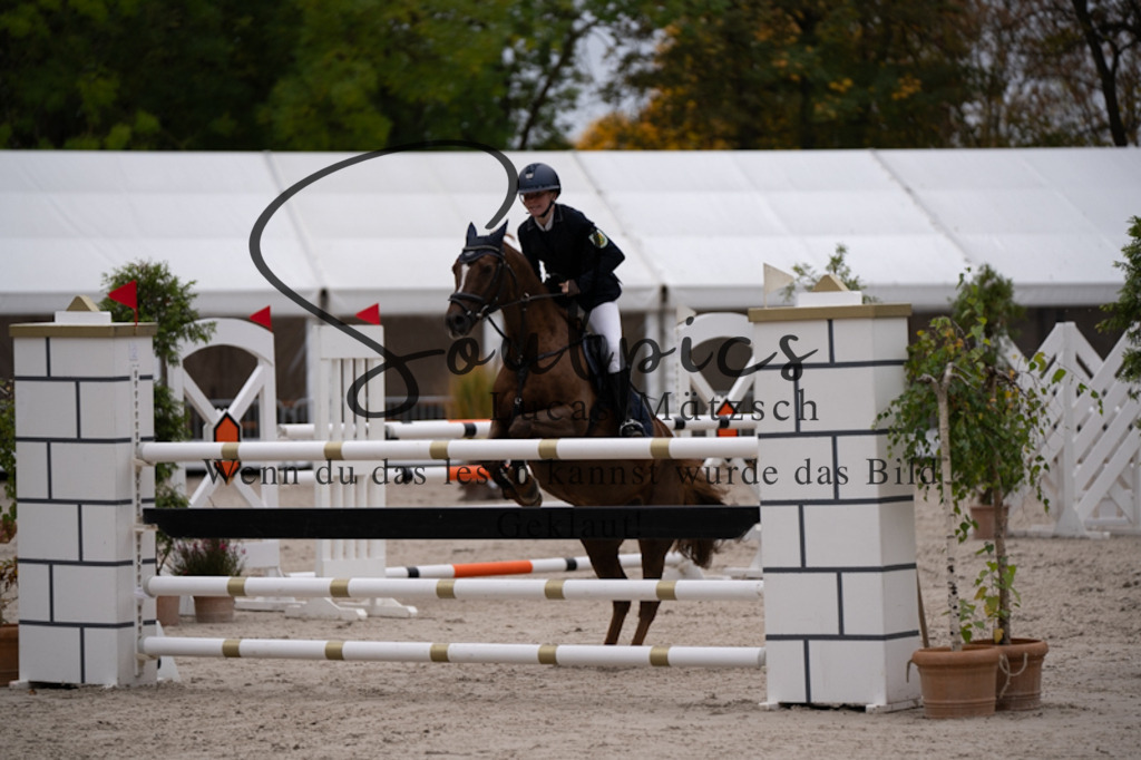 A7V01059 | Pferdefotograf