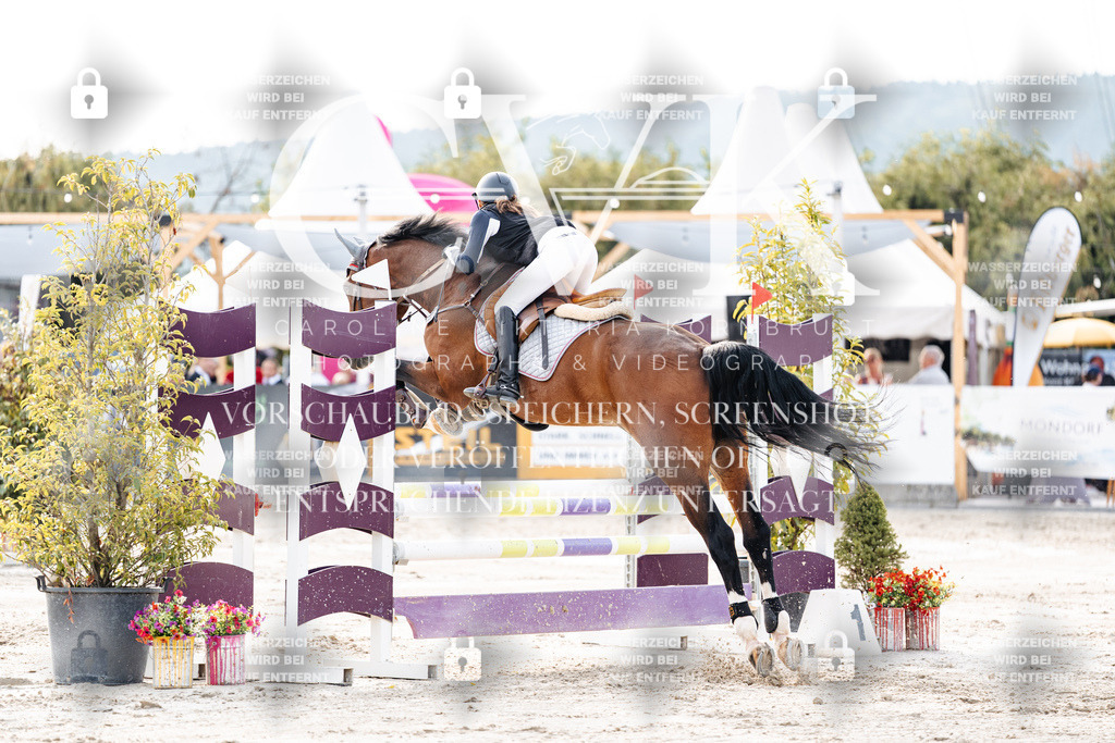 CK906859 | Turnierfotografie Pferdefotografie Trier Rheinland-Pfalz Pferdesport Reitsport Tierfotografie Sportfotografie Pferdevideo Pferdevideografie Equestrianvideography equestrianphotography  - Realisiert mit Pictrs.com