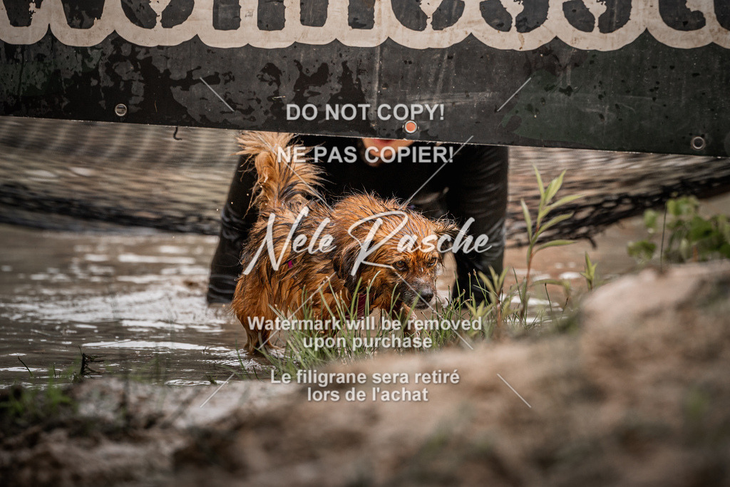 nelerasche_Hoope2026_Sa0900-0930_316 | nelerasche