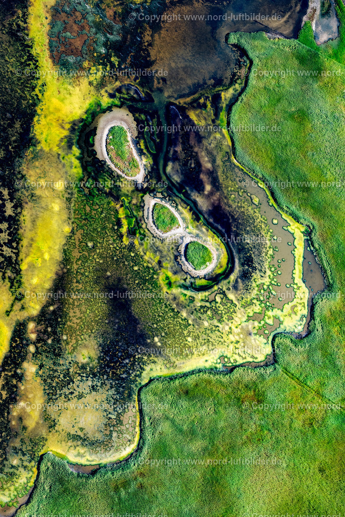 Sylt_Rantum_Rantumbecken_Salzwiesen_ELS_9652130825 | SYLT 13.08.2025 Grasflächen- Strukturen einer Feld- und Wiesen- Landschaft " Rantumbecken " in Sylt Nordsee - Insel im Bundesland Schleswig-Holstein, Deutschland. // Grass area structures of a salt marsh landscape " Rantumbecken " in Sylt North Sea Island in the state Schleswig-Holstein, Germany. Foto: Martin Elsen