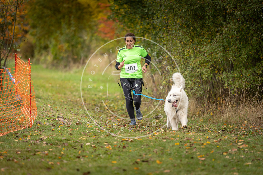 Pfotenfotografie_DV3A4180 | Hundefotografie, Tierfotograf, Pfotenfotografie, Fotoshooting Hund, Hunde Portrait, Hundesport, Hundeportraits, Heideshooting, Hunde, Sportfotograf, Hundefotograf, Turnierhundsport, THS,  - Realisiert mit Pictrs.com
