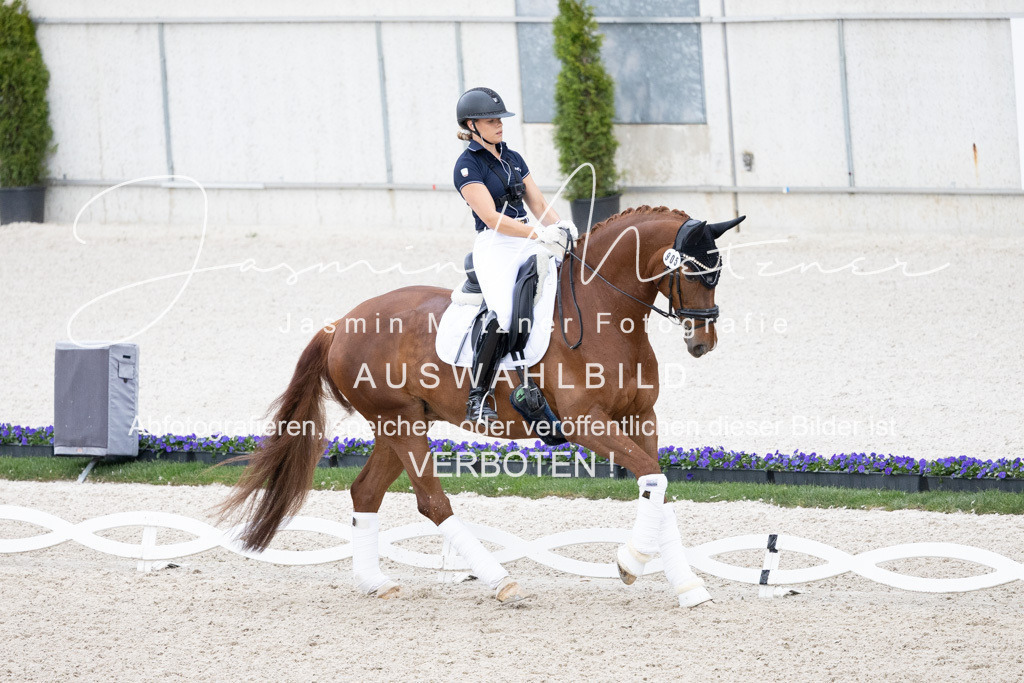 126A0746 | jasminmetznerfotografie