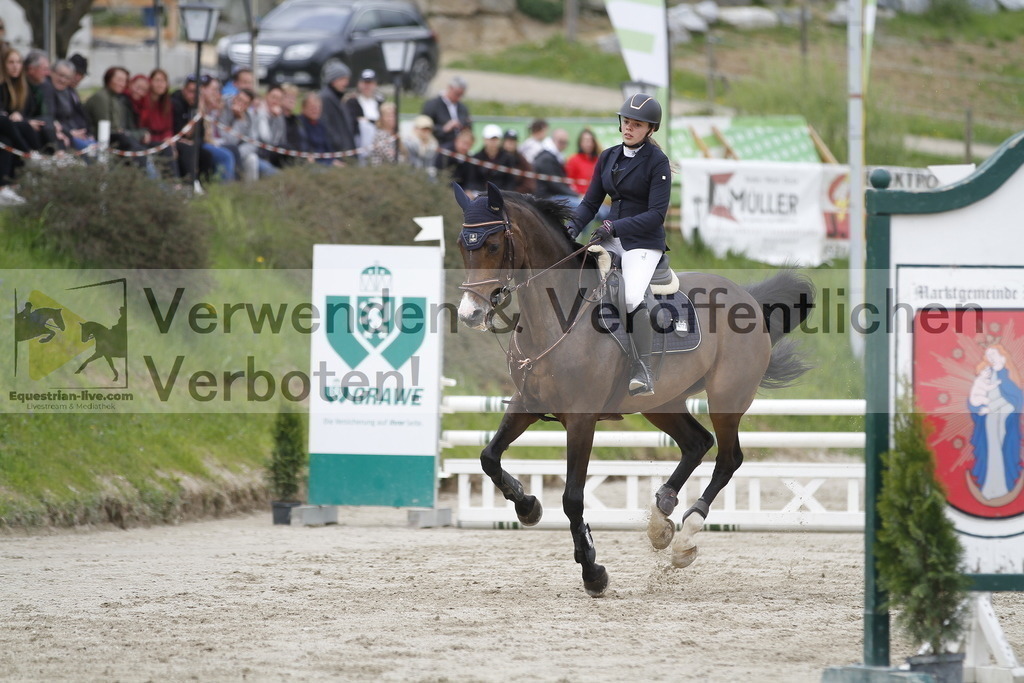 _MG_4084 | equestrian-live-com