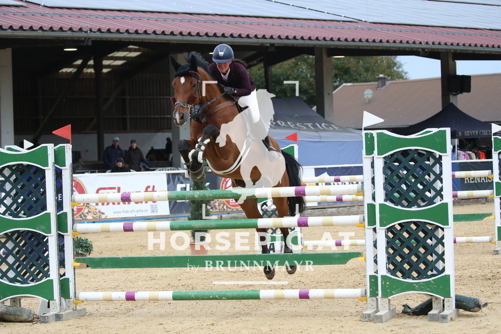 DL2Q3350 | Willkommen bei Brunnmayr - Design & Fotografie – Ihrem Spezialisten für Reitturniere und Pferdeveranstaltungen in Oberösterreich, Salzburg und Bayern! Seit über 17 Jahren sind wir leidenschaftlich dabei.