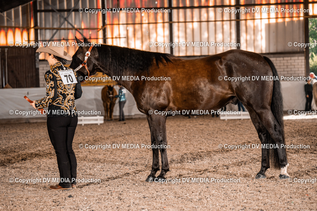 ZH100053 | dv-media-shop - Realisiert mit Pictrs.com