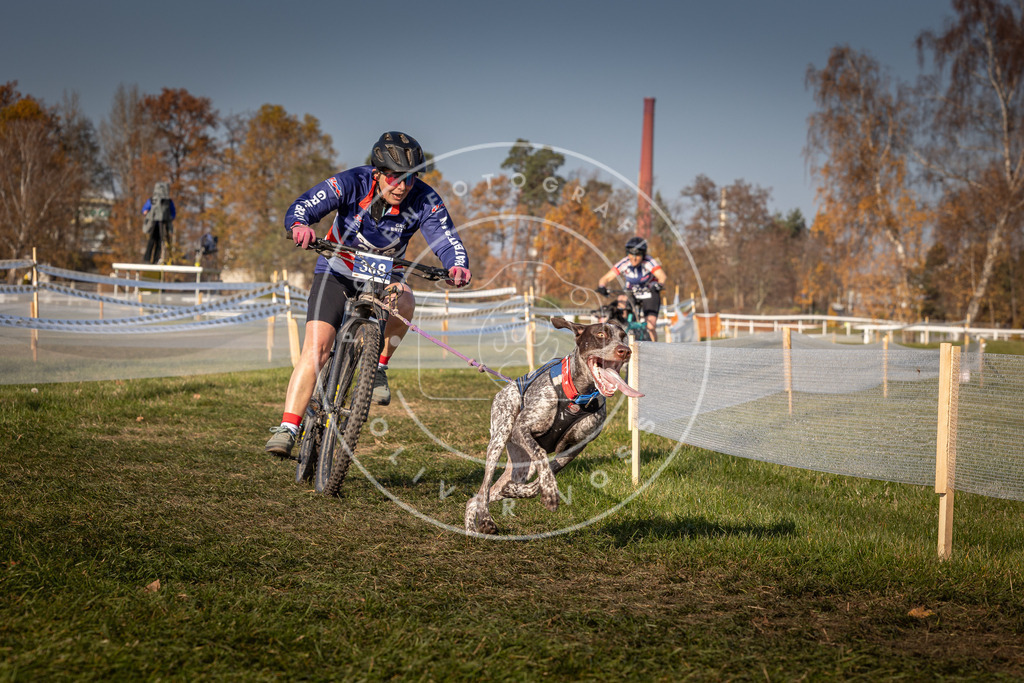 CaniXpix_0L8A7638 | Hundefotografie, Tierfotograf, Pfotenfotografie, Fotoshooting Hund, Hunde Portrait, Hundesport, Hundeportraits, Heideshooting, Hunde, Sportfotograf, Hundefotograf, Turnierhundsport, THS,  - Realisiert mit Pictrs.com