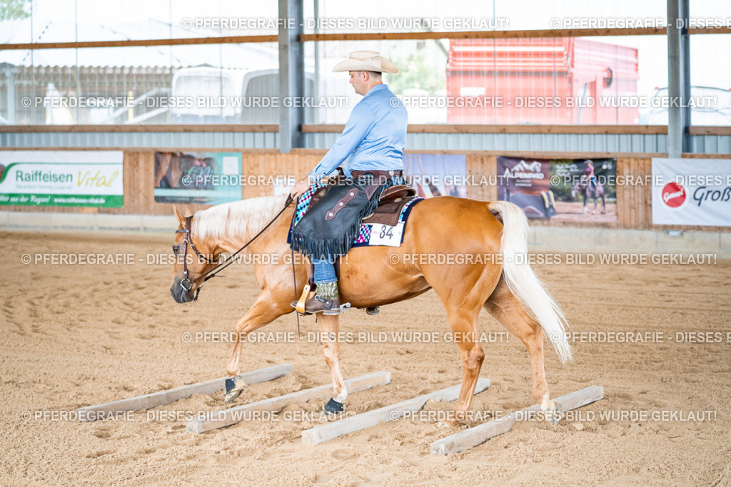 DSC08845 | Pferdegrafie