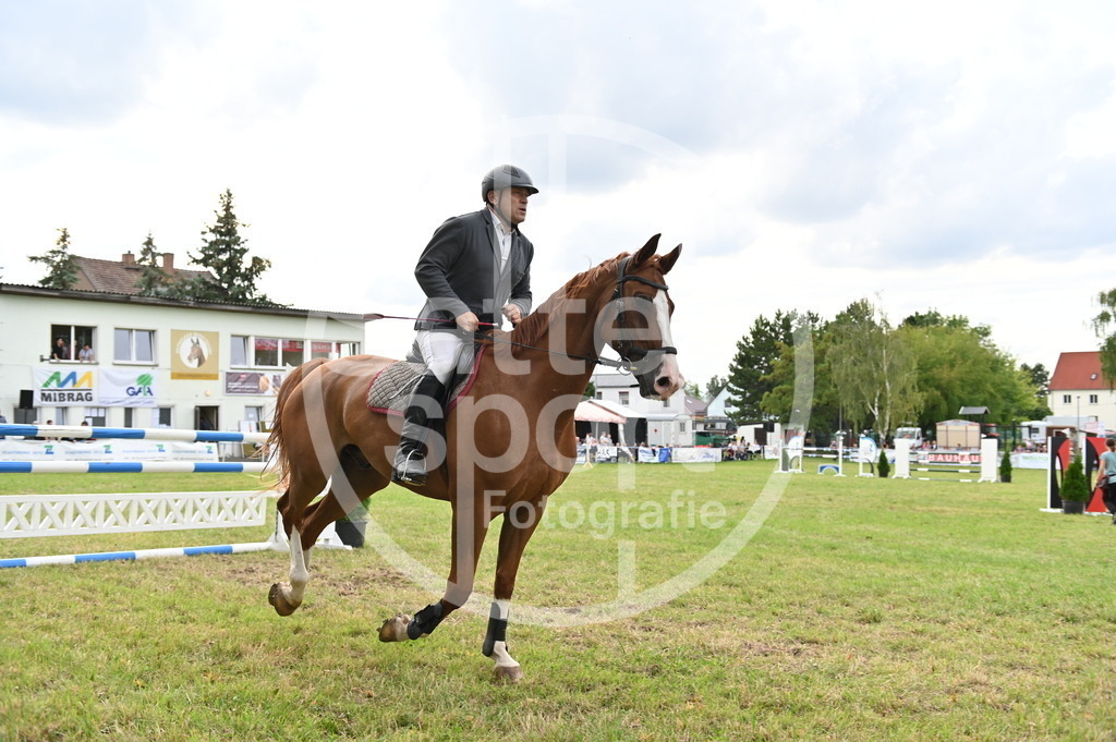 DSC_3938 | sattelsport - Realisiert mit Pictrs.com