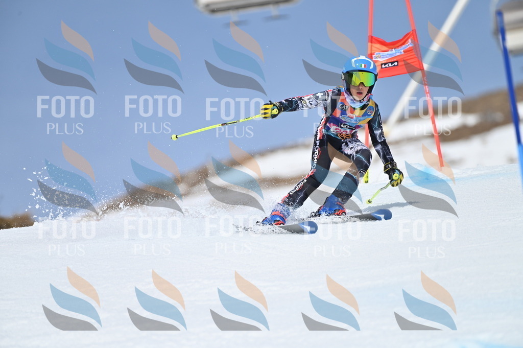 BGV_2793 | holidayphoto