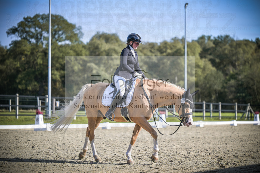 DOS_2315 | Entdecke hochwertige Reitturnierfotos von Foto Oger. Professionell, emotional und authentisch – jetzt Lieblingsmomente im Shop bestellen.Deutschlandweite Turnierfotografie. - Realisiert mit Pictrs.com