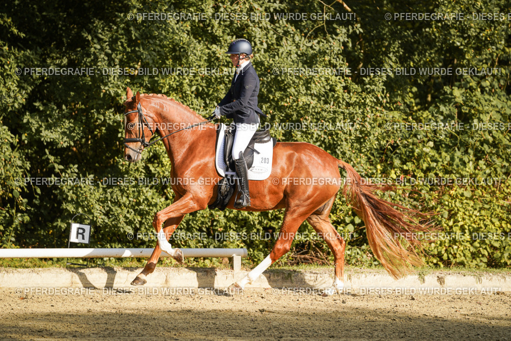 DSC05444 | Pferdegrafie