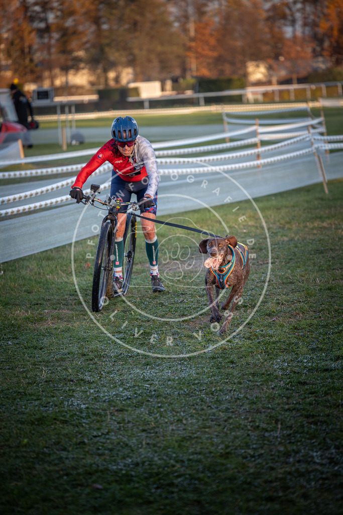 CaniXpix_0L8A1353 | Hundefotografie, Tierfotograf, Pfotenfotografie, Fotoshooting Hund, Hunde Portrait, Hundesport, Hundeportraits, Heideshooting, Hunde, Sportfotograf, Hundefotograf, Turnierhundsport, THS,  - Realisiert mit Pictrs.com
